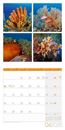 Bild von Colours of Nature Kalender 2026 - 30x30