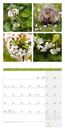Bild von Colours of Nature Kalender 2026 - 30x30