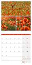 Bild von Colours of Nature Kalender 2026 - 30x30
