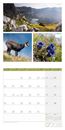 Bild von Colours of Nature Kalender 2026 - 30x30