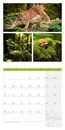Bild von Colours of Nature Kalender 2026 - 30x30