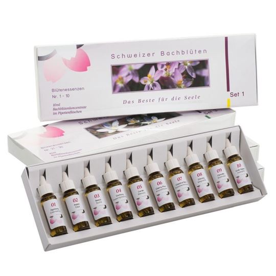 Bild von Bachblüten-Familien-Set Braunglas 40 x 10 ml