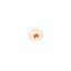 Picture of Pin Ammonite, VE-10