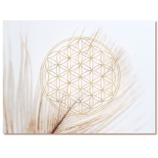Immagine di Leinwandbild Feder mit Blume des Lebens, 65 × 45 cm