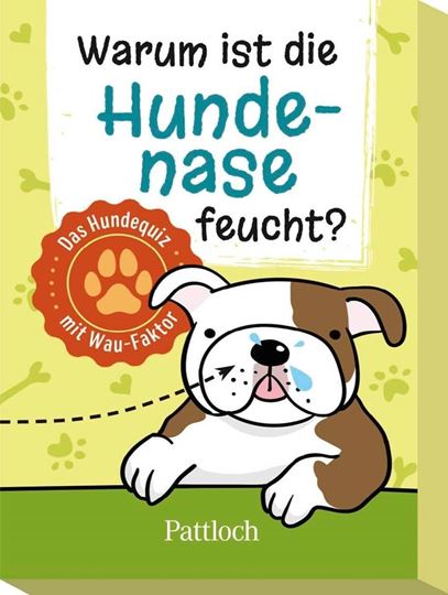 Bild von Warum ist die Hundenase feucht?