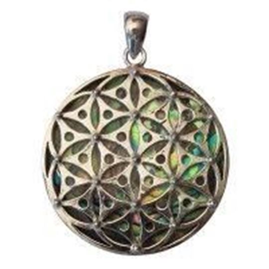 Immagine di Anhänger Paua Blume des Lebens Silber 925 3,5cm