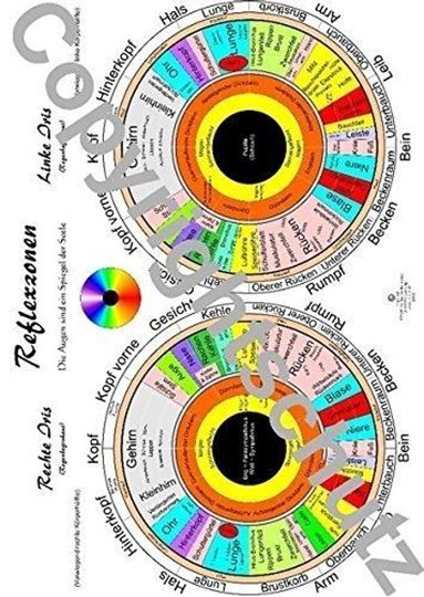Picture of Iris A5 - Reflexzonenübersicht Lehrtafel