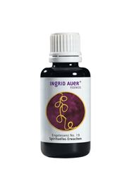Bild von Engelessenz 19 Engel für spirituelles Erwachen 30 ml