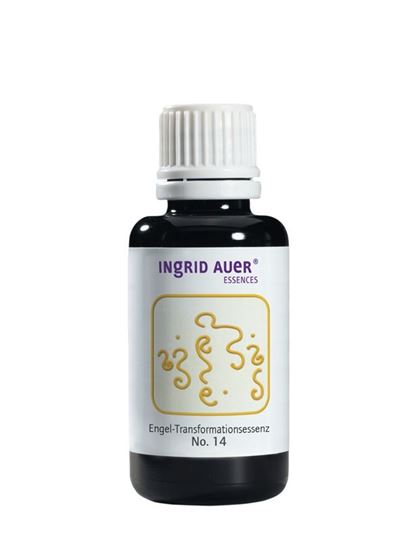 Bild von Engel-Transformationsessenz 14 Engel für ehrliche Intepretation, 30 ml