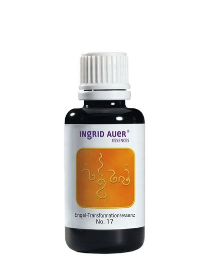 Bild von Engel-Transformationsessenz 17 Engel für Aufrichtiges Wollen, 30 ml