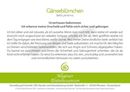 Picture of Allgäuer Blütenessenz Gänseblümchen 50 ml