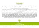 Immagine di Allgäuer Blütenessenz Holunder 50 ml