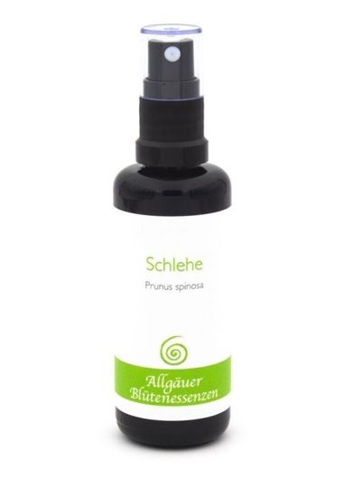 Image sur Allgäuer Blütenessenz Schlehe 50 ml