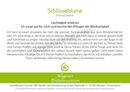 Image sur Allgäuer Blütenessenz Schlüsselblume 50 ml