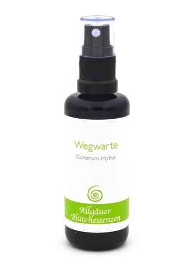 Immagine di Allgäuer Blütenessenz Wegwarte 50 ml