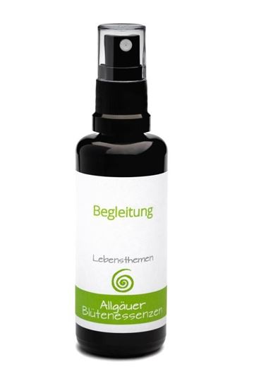 Immagine di Begleitung - Allgäuer Blütenessenz Themenmischung