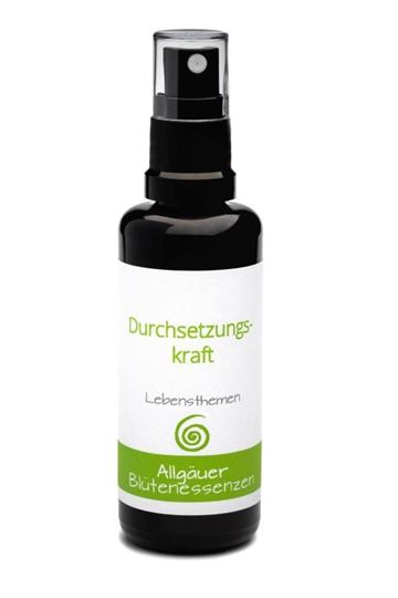 Immagine di Durchsetzungskraft - Allgäuer Blütenessenz Themenmischung
