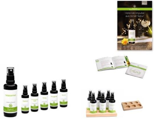 Immagine di Allgäuer Blütenessenz Themenmischungen Starterpaket 4