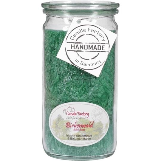 Bild von Mini-Jumbo Birkenwald, Duftkerze im Glas 13,5 cm