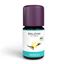 Picture of Baldini Vanilleextrakt BIO, 5 ml