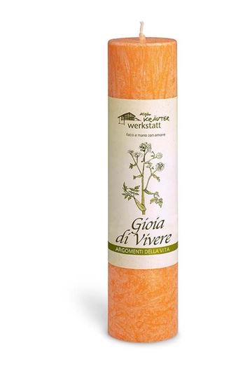 Image sur Candele alle piante officinali dell'Algovia - gioia di vivere