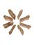 Immagine di Holzstempel FINGER