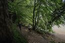 Image sur Damenjacke in dunkelblau von The Spirit of OM