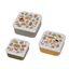 Picture of 3 lunch boxes l'aventure, VE-4