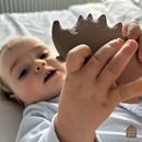 Bild von naturkautschuk badespielzeug die igel, VE-4