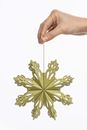 Image sur Papieranhänger GREEN STAR