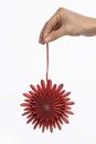 Bild von Papieranhänger RED FLAKE