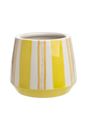 Immagine di Blumentopf LIME AQUARELL