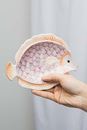 Immagine di Seifenschale FISH