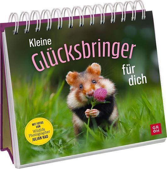 Picture of Kleine Glücksbringer für dich
