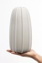 Image sur Vase GENTLE BREEZE LIGHT GREY