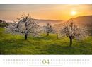 Bild von Harmonie Kalender 2026