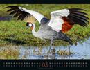 Bild von Wildes Afrika Kalender 2026