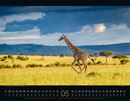 Bild von Wildes Afrika Kalender 2026
