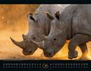 Bild von Wildes Afrika Kalender 2026
