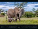 Bild von Wildes Afrika Kalender 2026