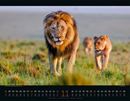 Bild von Wildes Afrika Kalender 2026