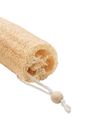 Bild von Schwamm LUFFA NATURE