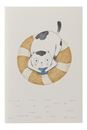 Picture of Notizbücher SPLASHY CATS 3er-Set