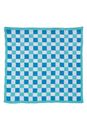 Bild von Abwaschtuch CHECK