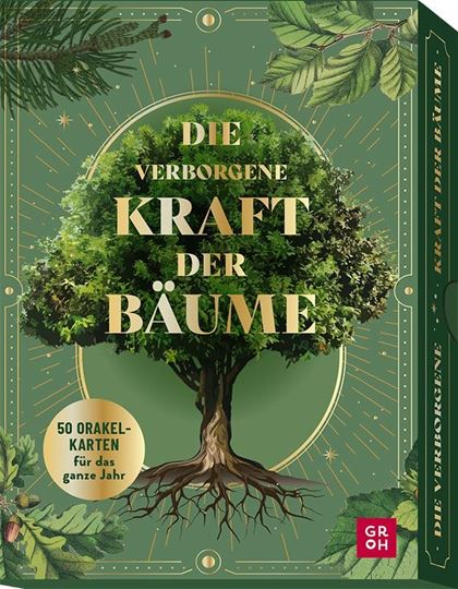 Bild von Die verborgene Kraft der Bäume