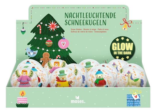 Bild von Nachtleuchtende Schneekugel, VE-16