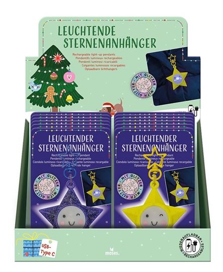 Image sur Leuchtender Sternenanhänger, VE-12