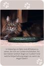 Bild von Das grosse Katzen Quiz, VE-1
