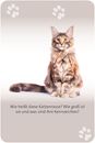 Bild von Das grosse Katzen Quiz, VE-1