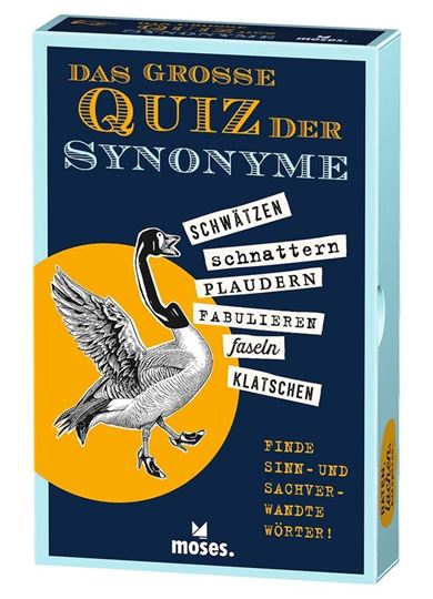 Bild von Das grosse Quiz der Synonyme, VE-1